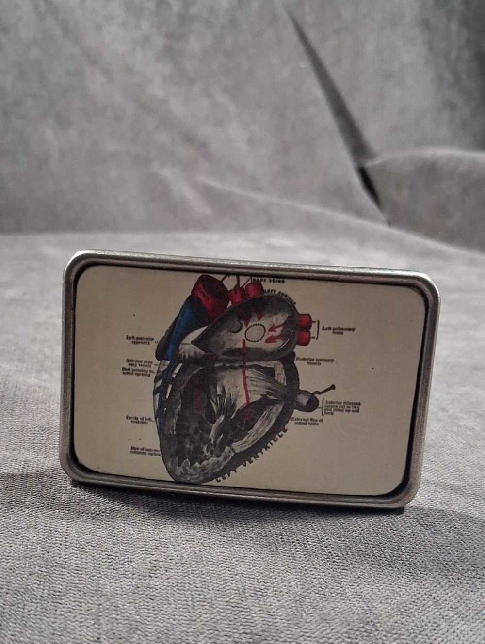 Pip Robins Accessories Anatomical Heart Graphic Silver Tone Belt Buckle NEW OOP
